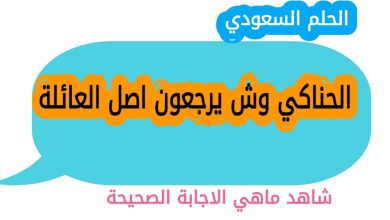 الحناكي وش يرجعون اصل العائلة