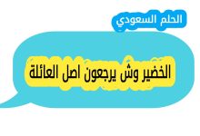 الخضير وش يرجعون اصل العائلة