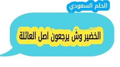 الخضير وش يرجعون اصل العائلة