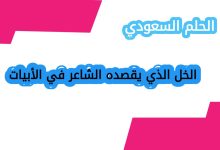 الخل الذي يقصده الشاعر في الأبيات