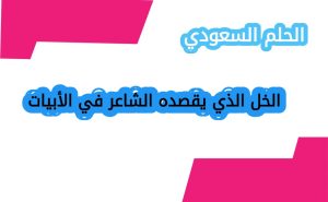 الخل الذي يقصده الشاعر في الأبيات