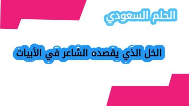 الخل الذي يقصده الشاعر في الأبيات
