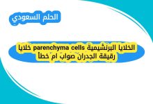 الخلايا البرنشيمية parenchyma cells خلايا رقيقة الجدران صواب ام خطأ