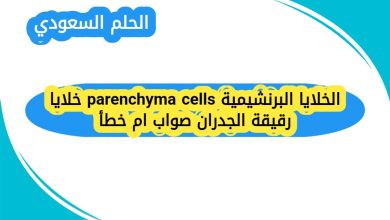 الخلايا البرنشيمية parenchyma cells خلايا رقيقة الجدران صواب ام خطأ
