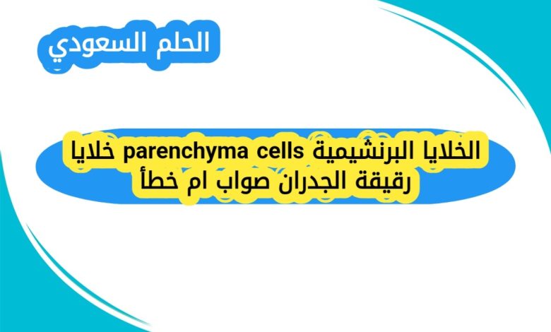 الخلايا البرنشيمية parenchyma cells خلايا رقيقة الجدران صواب ام خطأ