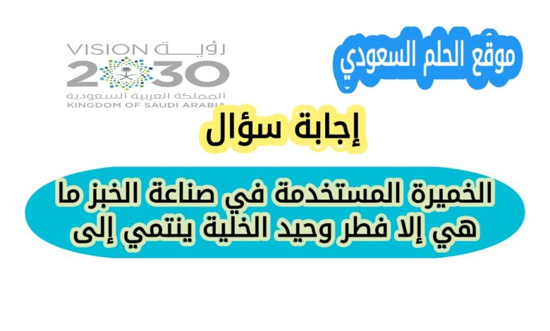 الخميرة المستخدمة في صناعة الخبز ما هي إلا فطر وحيد الخلية ينتمي إلى