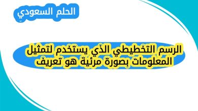 الرسم التخطيطي الذي يستخدم لتمثيل المعلومات بصورة مرئية هو تعريف