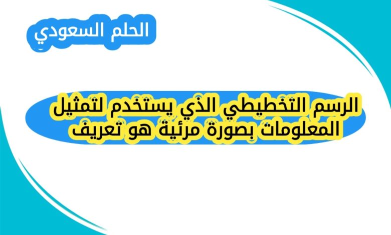 الرسم التخطيطي الذي يستخدم لتمثيل المعلومات بصورة مرئية هو تعريف
