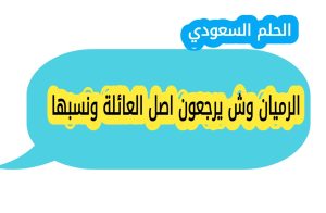 الرميان وش يرجعون ومن وين اصل عائلة الرميان، تاريخها ونسبها الذي يعود الى الوداعين من الدواسر، مع معلومات عن فروع العائلة ومكانتها الاجتماعية في السعودية