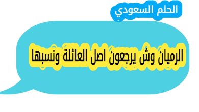 الرميان وش يرجعون ومن وين اصل عائلة الرميان، تاريخها ونسبها الذي يعود الى الوداعين من الدواسر، مع معلومات عن فروع العائلة ومكانتها الاجتماعية في السعودية