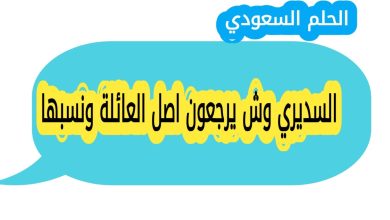 السديري وش يرجعون اصل العائلة ونسبها؟ عائلة السديري من العائلات السعودية المعروفة بتاريخها العريق ومساهماتها الاجتماعية والثقافية. يبحث الكثيرون عن نسبها الاصلي وأصولها القبلية للتعرف على جذورها وتاريخها العائلي. يقدم هذا المقال معلومات حصرية ودقيقة عن العائلة، مناطق استقرارها، ونسبها القبلي والاجتماعي. السديري ويكيبيديا عائلة السديري سجلت حضورها في المجتمع السعودي من خلال المشاركة في التجارة والسياسة والخدمة الاجتماعية. الاسم معروف في المدن الكبرى مثل الرياض ومكة والمدينة، ويعود تاريخ العائلة الى عدة قرون مضت. السديري وش يرجعون يرجع نسب عائلة السديري الى قبيلة عربية أصيلة، تتميز بالشجاعة والكرم والتمسك بالعادات والتقاليد القبلية. حافظ افراد العائلة على مكانتهم وموروثهم الاجتماعي عبر الاجيال، مما يجعلها واحدة من العائلات المرموقة في المملكة. السديري من وين تنتشر عائلة السديري في مناطق متعددة داخل المملكة، من أبرزها نجد والحجاز والقصيم، مع وجود فروع صغيرة في باقي المدن. هذا الانتشار يعكس التأثير الكبير للعائلة في المجتمع السعودي. وش يرجع السديري تنتمي السديري الى قبيلة لها تاريخ طويل في القيادة والمجال الاجتماعي والتجاري، ويعد نسبها دليلا على ارتباطهم بجذور عربية اصيلة حافظت على مكانتها بين القبائل السعودية. اصل السديري يعود اصل السديري الى جدهم الكبير الذي استقر في قلب الجزيرة العربية، وقد اشتهروا بالكرم والشجاعة والالتزام بالعادات والتقاليد القبلية. هذا الاصل يعكس تاريخ العائلة العريق ومساهماتها في المجتمع السعودي. السديري وش يرجعون اصل العائلة ونسبها