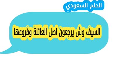 السيف وش يرجعون اصل العائلة وفروعها
