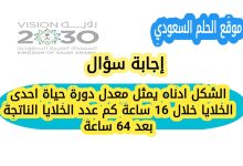 الشكل ادناه يمثل معدل دورة حياة احدى الخلايا خلال 16 ساعة كم عدد الخلايا الناتجة بعد 64 ساعة