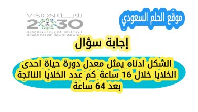 الشكل ادناه يمثل معدل دورة حياة احدى الخلايا خلال 16 ساعة كم عدد الخلايا الناتجة بعد 64 ساعة