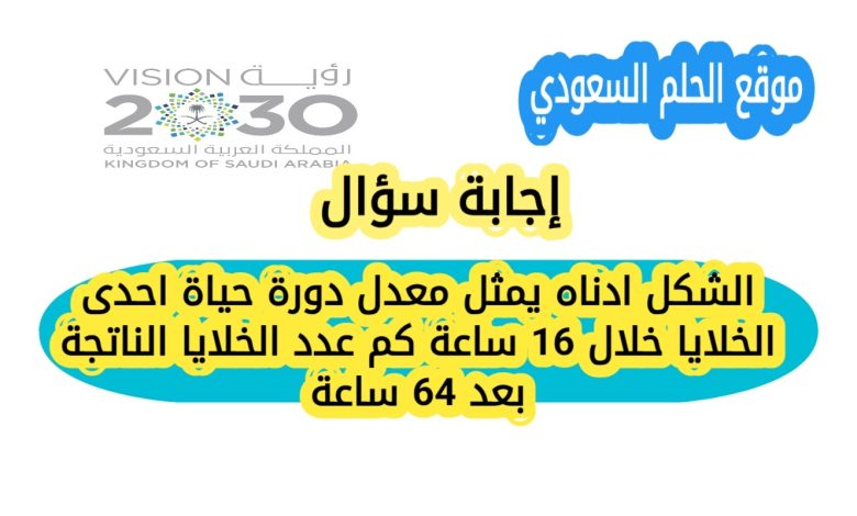 الشكل ادناه يمثل معدل دورة حياة احدى الخلايا خلال 16 ساعة كم عدد الخلايا الناتجة بعد 64 ساعة