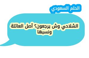 الشلاحي وش يرجعون