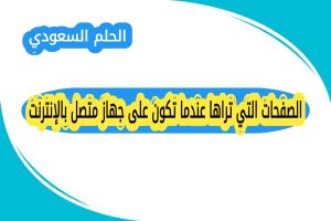 الصفحات التي تراها عندما تكون على جهاز متصل بالإنترنت