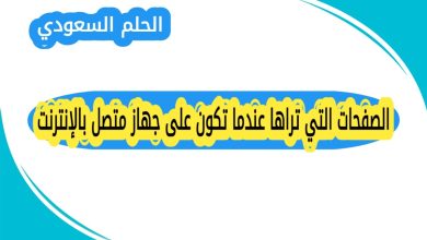 الصفحات التي تراها عندما تكون على جهاز متصل بالإنترنت