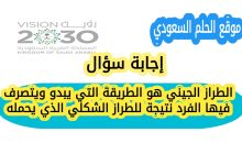 الطراز الجيني هو الطريقة التي يبدو ويتصرف فيها الفرد نتيجة للطراز الشكلي الذي يحمله
