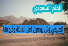 الطليحي وش يرجعون اصل العائلة وفروعها