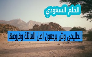 الطليحي وش يرجعون اصل العائلة وفروعها