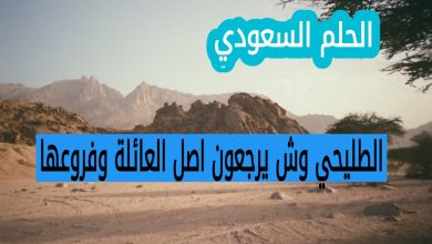 الطليحي وش يرجعون اصل العائلة وفروعها