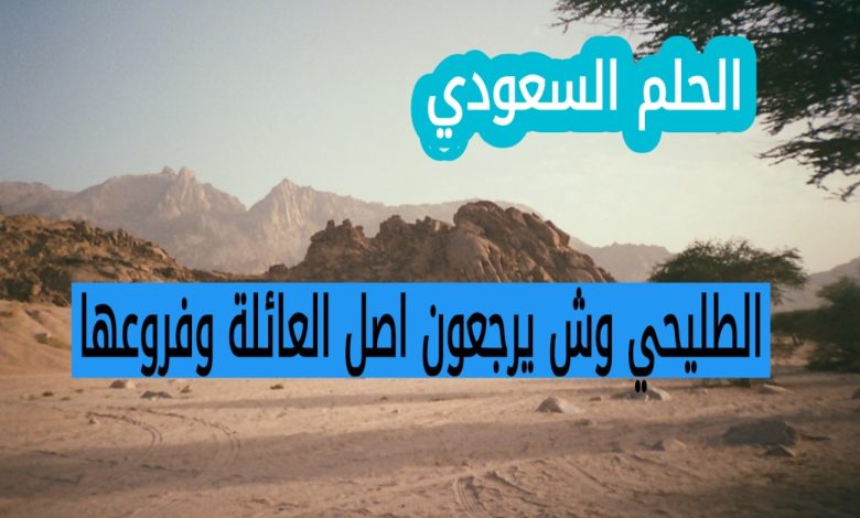 الطليحي وش يرجعون اصل العائلة وفروعها