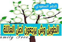 اصل عائلة الطويل