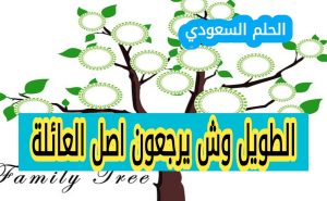 اصل عائلة الطويل