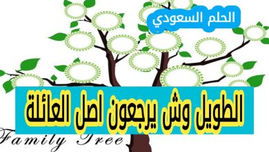 اصل عائلة الطويل