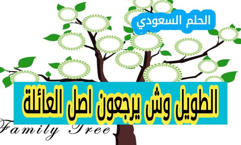 اصل عائلة الطويل
