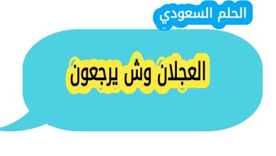 العجلان وش يرجعون
