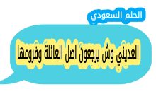 العديني وش يرجعون اصل العائلة وفروعها