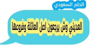 العديني وش يرجعون اصل العائلة وفروعها