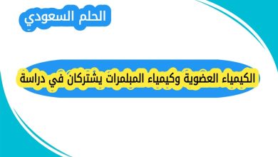 الكيمياء العضوية وكيمياء المبلمرات يشتركان في دراسة