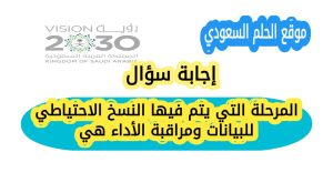 المرحلة التي يتم فيها النسخ الاحتياطي للبيانات ومراقبة الأداء هي