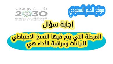 المرحلة التي يتم فيها النسخ الاحتياطي للبيانات ومراقبة الأداء هي