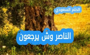 الناصر وش يرجعون