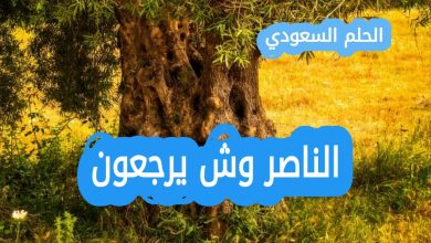 الناصر وش يرجعون