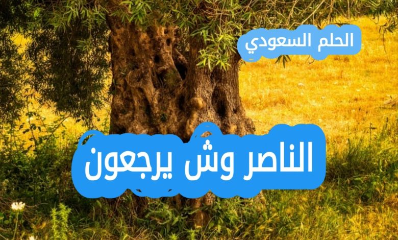الناصر وش يرجعون