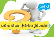 انتقال حبوب اللقاح من متك زهرة إلى ميسم زهرة أخرى يُعرف