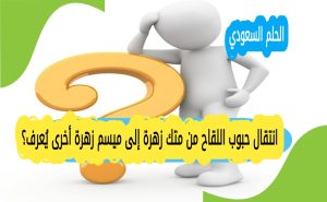 انتقال حبوب اللقاح من متك زهرة إلى ميسم زهرة أخرى يُعرف