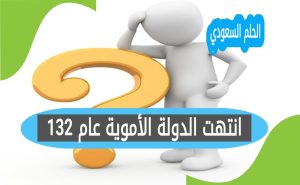 انتهت الدولة الأموية عام 132