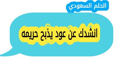 انشدك عن ورع فتح لامه الباب يضحك الناس وامه تبكي عليه