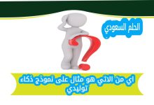 اي من الاتي هو مثال على نموذج ذكاء توليدي