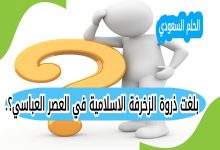 بلغت ذروة الزخرفة الاسلامية في العصر العباسي؟.