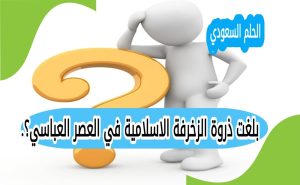 بلغت ذروة الزخرفة الاسلامية في العصر العباسي؟.