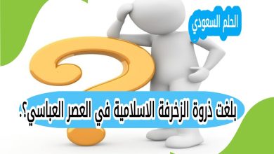 بلغت ذروة الزخرفة الاسلامية في العصر العباسي؟.