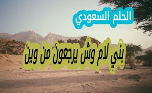بني لام وش يرجعون من وين