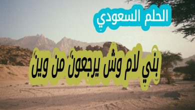 بني لام وش يرجعون من وين